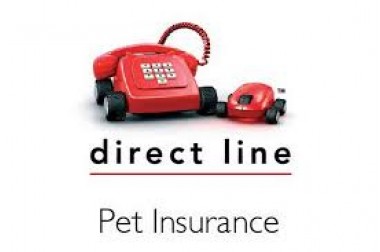 Home Insurance Reviews: Direct Line Home Insurance Reviews Uk